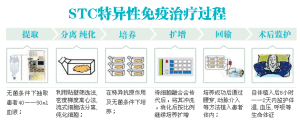 STC細胞免疫療法