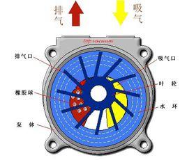 2BV型水環式真空泵