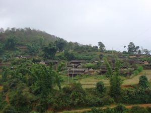 黃草嶺二村