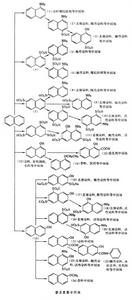 萘系中間體