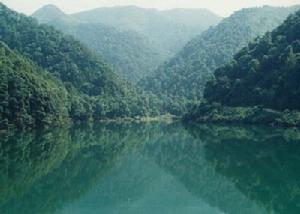 太浮山森林公園 