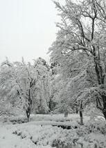 2018年1月3日，廣水大雪