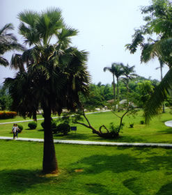 南亞熱帶植物園