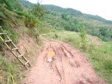 團山自然村[雲南普洱景東彝縣錦屏鎮溫卜村委團山自然村]