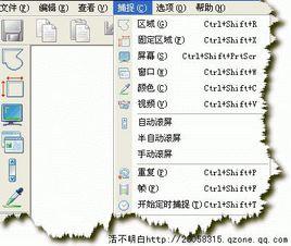 圖像視頻捕捉工具