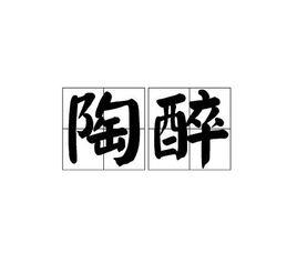 陶醉[漢語詞語]