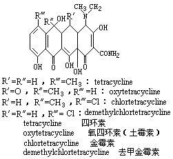 祛痘專集