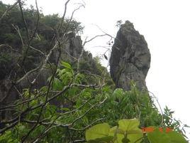 佛子山[福建政和縣下轄地區]