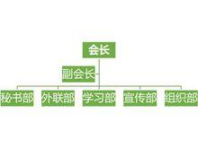 梧州學院電商學會組織結構圖