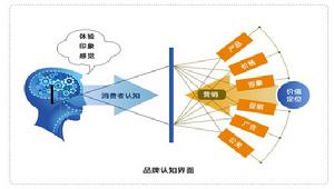 圖2  品牌認知界面形成的過程