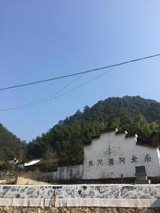 東陽鄉觀龍寺