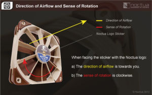 noctua