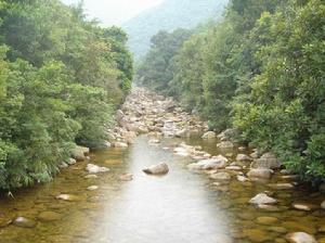 十萬大山國家森林公園