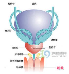 慢性反流性腎病