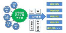 生物技術藥物產業化服務平台商務發展模式