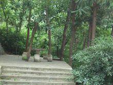 中華山國家森林公園