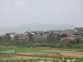 中所村[雲南省紅河建水縣曲江鎮中所村]