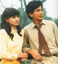 庭院深深[1987年秦漢劉雪華主演瓊瑤劇]