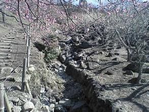 水鄉筑波國定公園