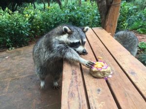 雲南野生動物園