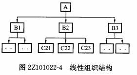 線性組織結構