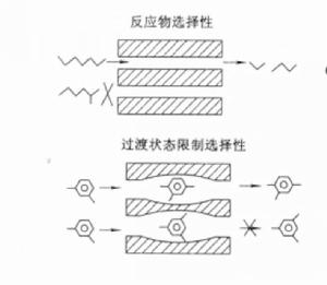 擇形催化劑