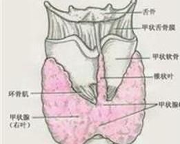 亞臨床甲減