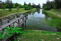 南溪濕地公園