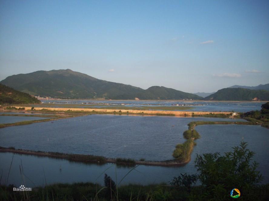 養殖業