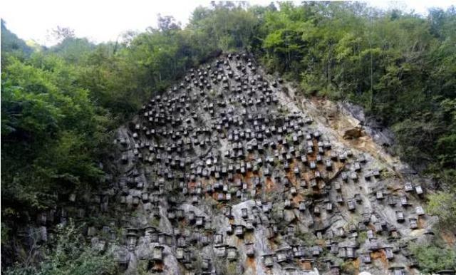 三峽巫山縣古墓 恐現一種特殊的“墓葬”，讓眾多遊客受驚不已