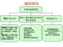 組織結構圖