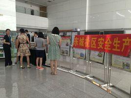 東城社區[廣東省佛山市禪城區祖廟街道東城社區]