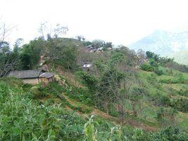 團山自然村[雲南臨滄永德縣永康鎮中山村委會團山自然村]