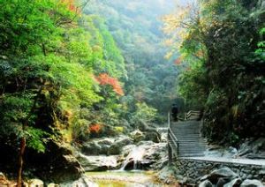 艾山國家森林公園