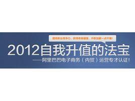 阿里巴巴電子商務運營人才考試系統