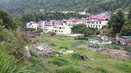 河頭村[山西省長治市屯留縣余吾鎮下轄村]