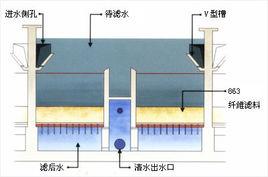 D型濾池