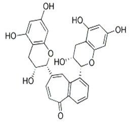 分子式