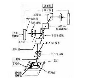 毛細管電泳