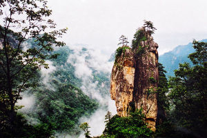 魯山[河南省平頂山市魯山縣]