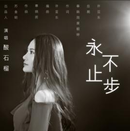 永不止步[永不止步（酸石榴演唱歌曲）]