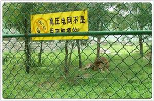 動物園圍欄