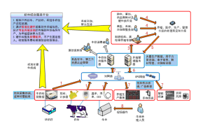 數位化牧場