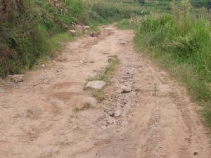 進村道路