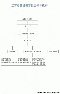 協會組織結構