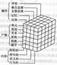 智力三維結構模型