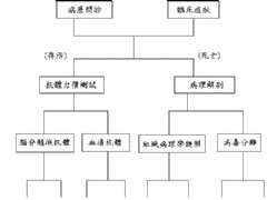 單發腦梗死性痴呆