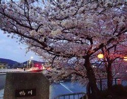 清明櫻花祭[日本傳統節日]