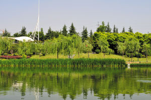 永陽公園