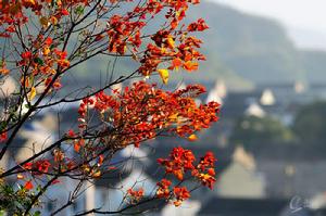 煙墩社區[浙江舟山市定海區岑港鎮下轄社區]